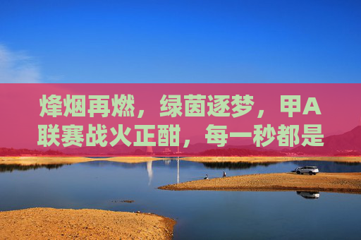 烽烟再燃，绿茵逐梦，甲A联赛战火正酣，每一秒都是热血沸腾，烽烟再燃，甲A绿茵热血逐梦