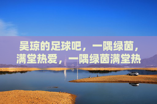 吴琼的足球吧，一隅绿茵，满堂热爱，一隅绿茵满堂热爱，吴琼的足球吧