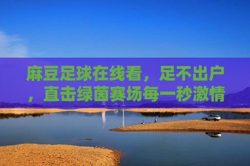 麻豆足球在线看,足不出户,直击绿茵赛场每一秒激情,麻豆足球在线看,足不出户直击赛场激情
