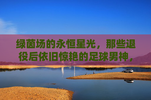 绿茵场的永恒星光,那些退役后依旧惊艳的足球男神,绿茵场永恒星光,退役足球男神的惊艳不落幕