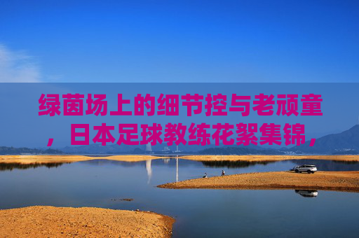 绿茵场上的细节控与老顽童,日本足球教练花絮集锦,绿茵场上的细节控与老顽童,日本足球教练花絮集锦