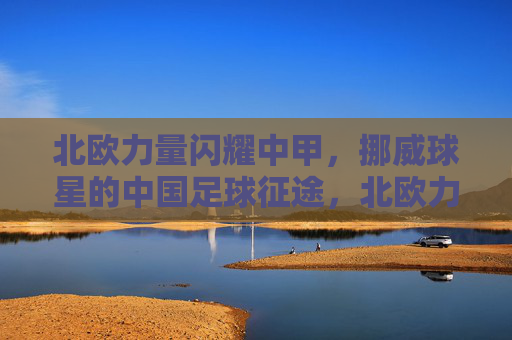北欧力量闪耀中甲，挪威球星的中国足球征途，北欧力量闪耀中甲，挪威球星中甲征途