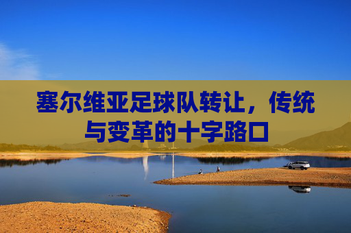 塞尔维亚足球队转让,传统与变革的十字路口