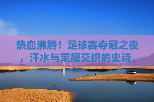 热血沸腾！足球赛夺冠之夜，汗水与荣耀交织的史诗，热血沸腾！足球夺冠之夜，汗水铸就荣耀史诗