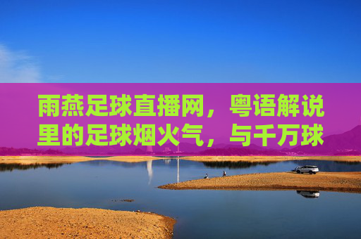 雨燕足球直播网，粤语解说里的足球烟火气，与千万球迷共燃赛场激情，粤语解说的烟火气，雨燕直播共燃千万球迷赛场激情