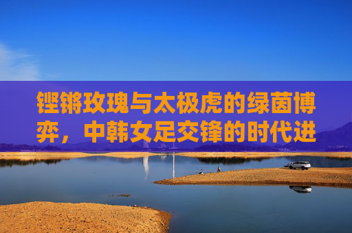 铿锵玫瑰与太极虎的绿茵博弈，中韩女足交锋的时代进程，铿锵玫瑰与太极虎，中韩女足绿茵时代博弈