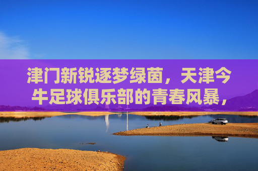 津门新锐逐梦绿茵，天津今牛足球俱乐部的青春风暴，津门新锐逐梦绿茵，天津今牛青春风暴