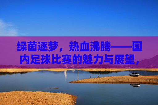 绿茵逐梦，热血沸腾——国内足球比赛的魅力与展望，热血沸腾绿茵路，国内足球比赛的魅力与展望