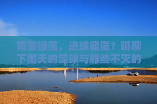 雨落绿茵,进球藏匿?聊聊下雨天的足球与那些不灭的进球瞬间,雨落绿茵,进球不灭