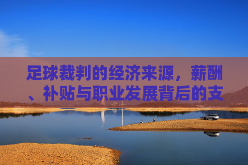 足球裁判的经济来源,薪酬、补贴与职业发展背后的支撑