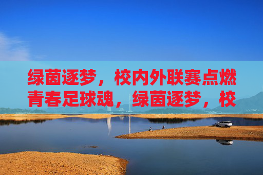 绿茵逐梦，校内外联赛点燃青春足球魂，绿茵逐梦，校内外联赛点燃青春足球魂