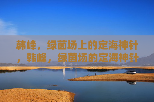 韩峰，绿茵场上的定海神针，韩峰，绿茵场的定海神针