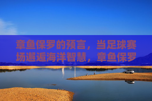 章鱼保罗的预言,当足球赛场邂逅海洋智慧,章鱼保罗,赛场预言邂逅海洋智慧