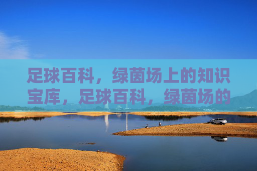 足球百科,绿茵场上的知识宝库,足球百科,绿茵场的知识宝库
