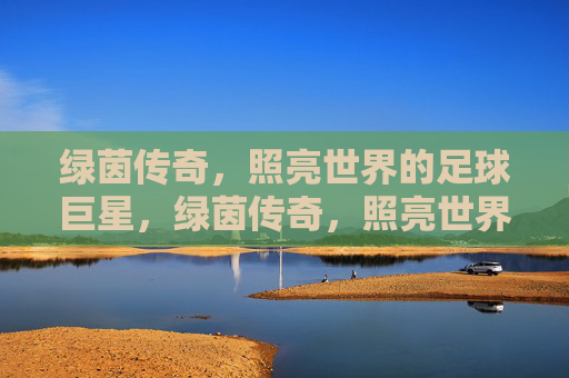 绿茵传奇,照亮世界的足球巨星,绿茵传奇,照亮世界的足球巨星