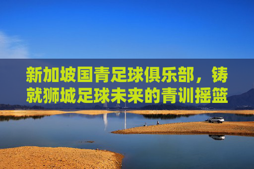 新加坡国青足球俱乐部,铸就狮城足球未来的青训摇篮,新加坡国青足球俱乐部,铸就狮城足球未来的青训摇篮
