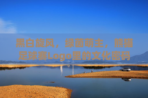 黑白旋风,绿茵萌主,熊猫足球赛Logo里的文化密码与体育激情