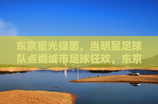 东京星光绿茵，当明星足球队点燃城市足球狂欢，东京星光绿茵，明星足球队点燃城市足球狂欢