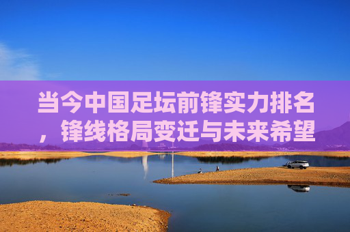 当今中国足坛前锋实力排名,锋线格局变迁与未来希望,中国足坛前锋实力排名,锋线格局变迁与未来希望