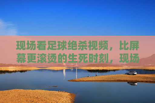 现场看足球绝杀视频,比屏幕更滚烫的生死时刻,现场足球绝杀,滚烫的生死瞬间