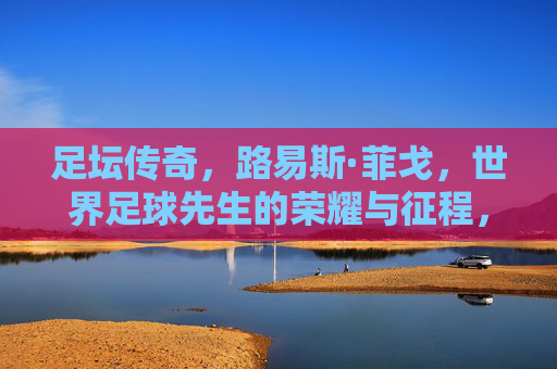 足坛传奇，路易斯·菲戈，世界足球先生的荣耀与征程，菲戈，足坛传奇的世界足球先生荣耀征程