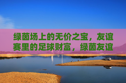 绿茵场上的无价之宝,友谊赛里的足球财富,绿茵友谊赛,足球的无价财富