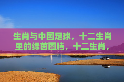 生肖与中国足球，十二生肖里的绿茵图腾，十二生肖，中国足球的绿茵图腾