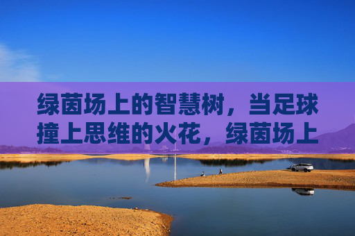 绿茵场上的智慧树,当足球撞上思维的火花,绿茵场上的思维火花