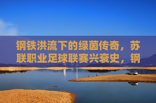 钢铁洪流下的绿茵传奇,苏联职业足球联赛兴衰史,钢铁洪流下的绿茵传奇,苏联职业足球联赛兴衰史