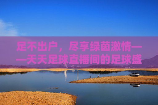 足不出户，尽享绿茵激情——天天足球直播间的足球盛宴，天天足球直播间，足不出户畅享绿茵盛宴