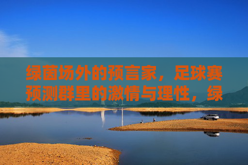 绿茵场外的预言家,足球赛预测群里的激情与理性,绿茵场外预言家,足球预测群的激情与理性