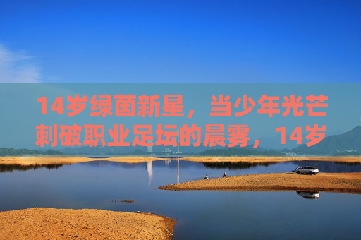 14岁绿茵新星，当少年光芒刺破职业足坛的晨雾，14岁新星光芒刺破职业足坛晨雾