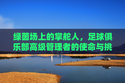 绿茵场上的掌舵人，足球俱乐部高级管理者的使命与挑战，绿茵场上的掌舵者，足球俱乐部高级管理者的使命与挑战