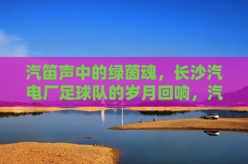 汽笛声中的绿茵魂，长沙汽电厂足球队的岁月回响，汽笛声中的绿茵魂，长沙汽电厂足球队的岁月回响