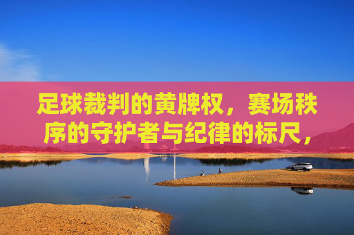 足球裁判的黄牌权,赛场秩序的守护者与纪律的标尺,足球裁判黄牌权,赛场秩序守护者与纪律标尺