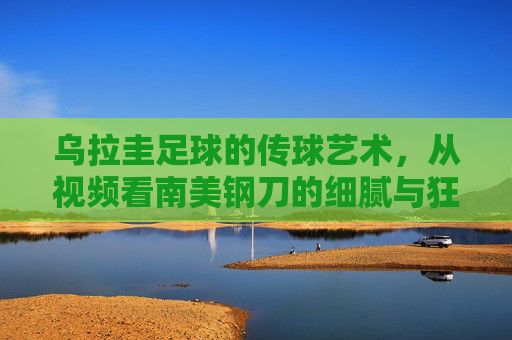 乌拉圭足球的传球艺术,从视频看南美钢刀的细腻与狂野