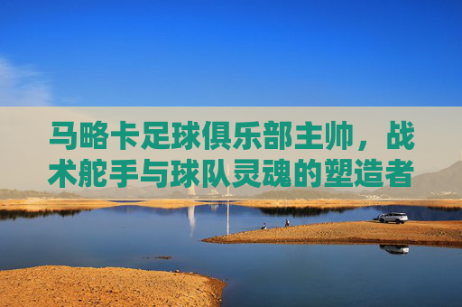 马略卡足球俱乐部主帅,战术舵手与球队灵魂的塑造者,马略卡主帅,战术舵手与球队灵魂塑造者