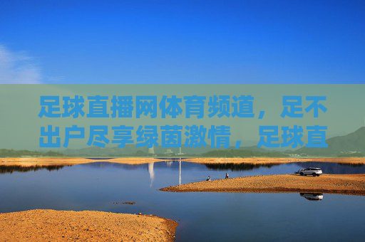 足球直播网体育频道,足不出户尽享绿茵激情,足球直播网体育频道,足不出户尽享绿茵激情