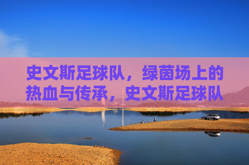史文斯足球队,绿茵场上的热血与传承,史文斯足球队,绿茵场上的热血与传承