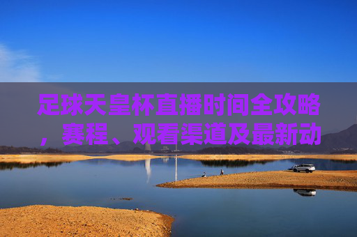 足球天皇杯直播时间全攻略，赛程、观看渠道及最新动态，足球天皇杯直播时间全攻略，赛程、观看渠道及最新动态