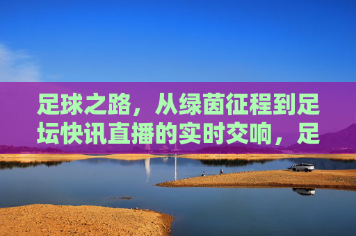 足球之路,从绿茵征程到足坛快讯直播的实时交响,足球之路,绿茵征程与足坛快讯实时交响
