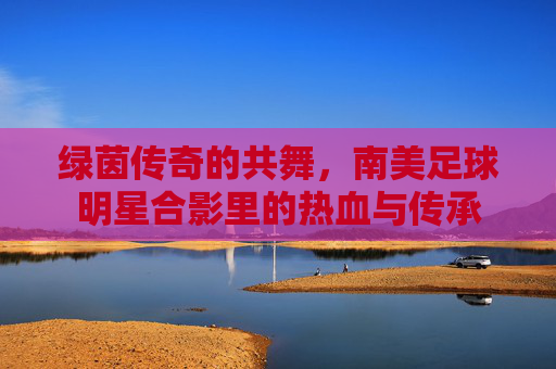 绿茵传奇的共舞,南美足球明星合影里的热血与传承