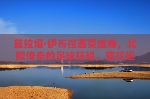 兹拉坦·伊布拉西莫维奇,北欧传奇的足球狂想,兹拉坦·伊布拉西莫维奇,北欧传奇的足球狂想