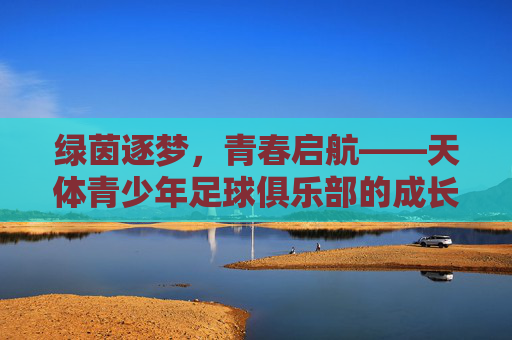 绿茵逐梦，青春启航——天体青少年足球俱乐部的成长之路，绿茵逐梦，青春启航，天体青少年足球俱乐部成长记