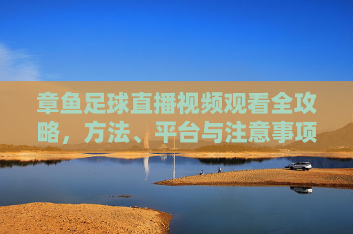 章鱼足球直播视频观看全攻略，方法、平台与注意事项，章鱼足球直播视频观看全攻略，方法、平台与注意事项
