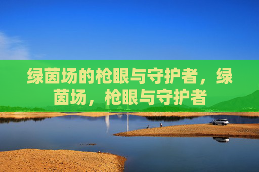 绿茵场的枪眼与守护者，绿茵场，枪眼与守护者