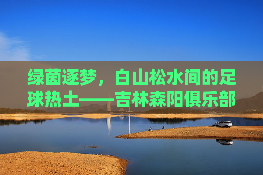 绿茵逐梦，白山松水间的足球热土——吉林森阳俱乐部足球发展纪实，白山松水绿茵梦，吉林森阳俱乐部足球发展纪实