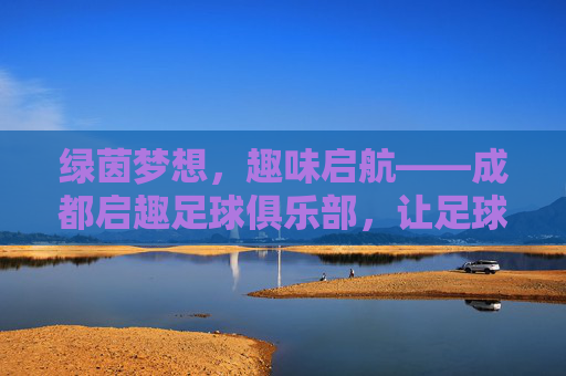 绿茵梦想，趣味启航——成都启趣足球俱乐部，让足球成为童年最美的礼物，绿茵梦想启航，足球是童年最美的礼物