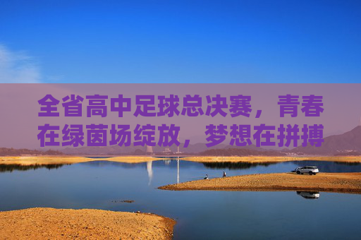 全省高中足球总决赛，青春在绿茵场绽放，梦想在拼搏中闪耀，全省高中足球总决赛，青春绽放，梦想闪耀