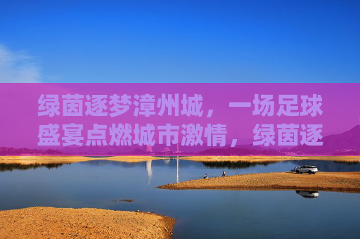 绿茵逐梦漳州城，一场足球盛宴点燃城市激情，绿茵逐梦，盛宴燃漳